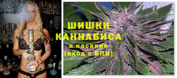 хмурый Инсар