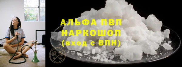 хмурый Инсар