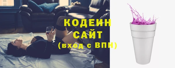 хмурый Инсар