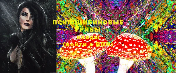 мескалин Инта