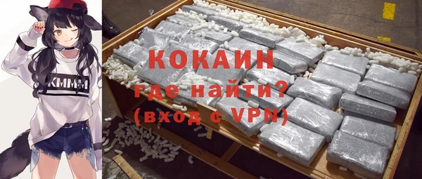 хмурый Инсар