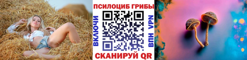 Галлюциногенные грибы GOLDEN TEACHER  Купить  Новохопёрск 
